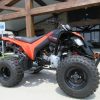 New 2023 Can-Am DS 250 For Sale - Image 11