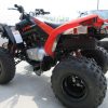 New 2023 Can-Am DS 250 For Sale - Image 7
