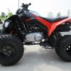 New 2023 Can-Am DS 250 For Sale - Image 6